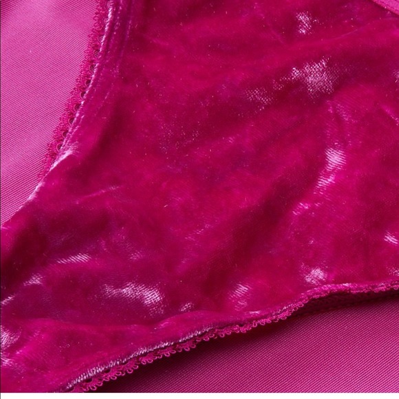 VICTORIA'S SECRET Velvet Logo Waist Bikini Panty - Picture 2 of 8